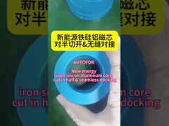 هسته آلومینیوم فیروسیلیکون انرژی جدید به نصف برش داده شده است